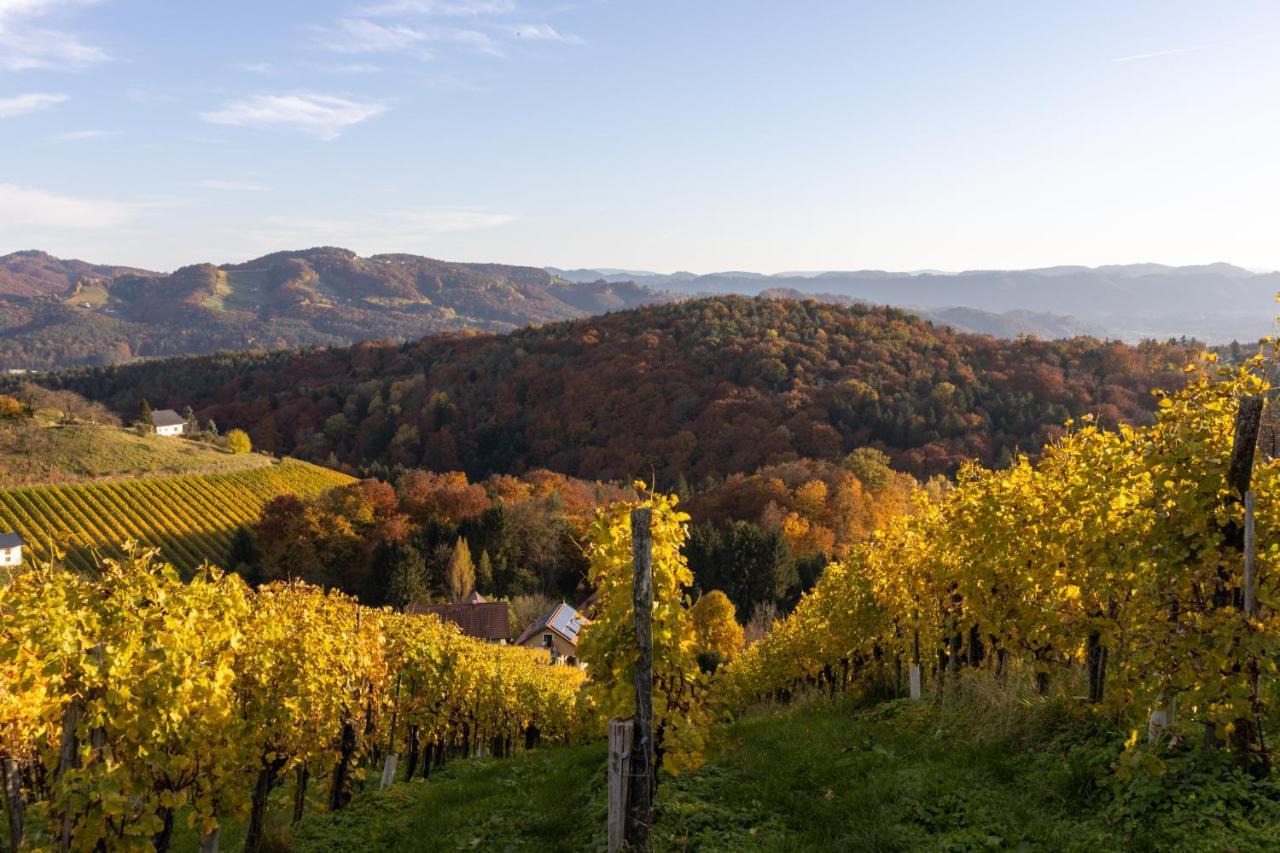 Weinberghaus Am Burgstallkogel ライプニッツ エクステリア 写真